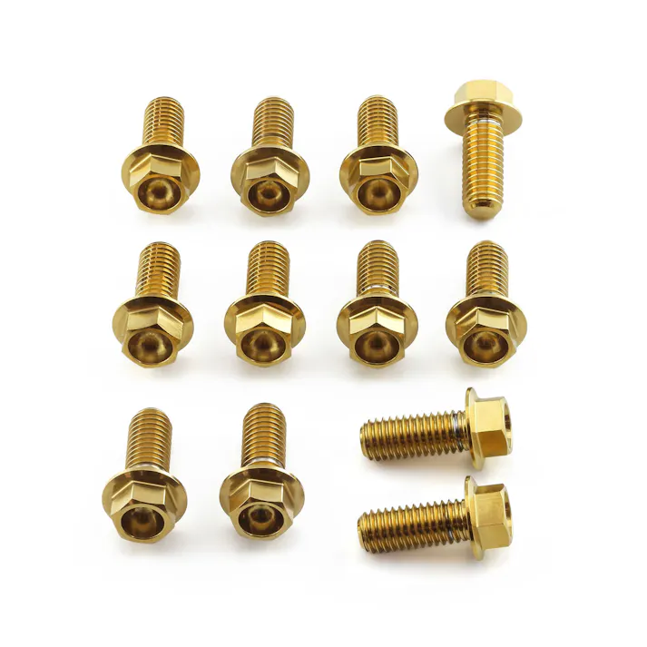 Pro-Bolt プロボルト Stainless Steel Disc Bolts M8x20mm Flanged Hex Pack x12 (SSDISCKIT10) SSDISCKIT10G (CDC)【別送品】