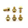 Pro-Bolt プロボルト Stainless Steel Disc Bolt Flanged Hex M6 x 12mm Rear Pack x 6 (SSDISCKIT-HZ2) SSDISCKIT-HZ2G (CDC)【ネット注文限定・別送品】