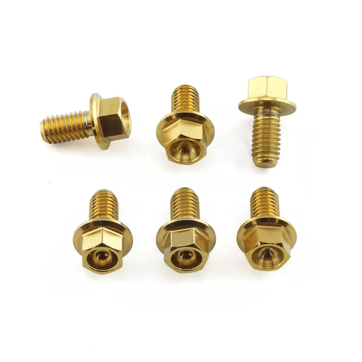 Pro-Bolt プロボルト Stainless Steel Disc Bolt Flanged Hex M6 x 12mm Rear Pack x 6 (SSDISCKIT-HZ2) SSDISCKIT-HZ2G (CDC)【ネット注文限定・別送品】