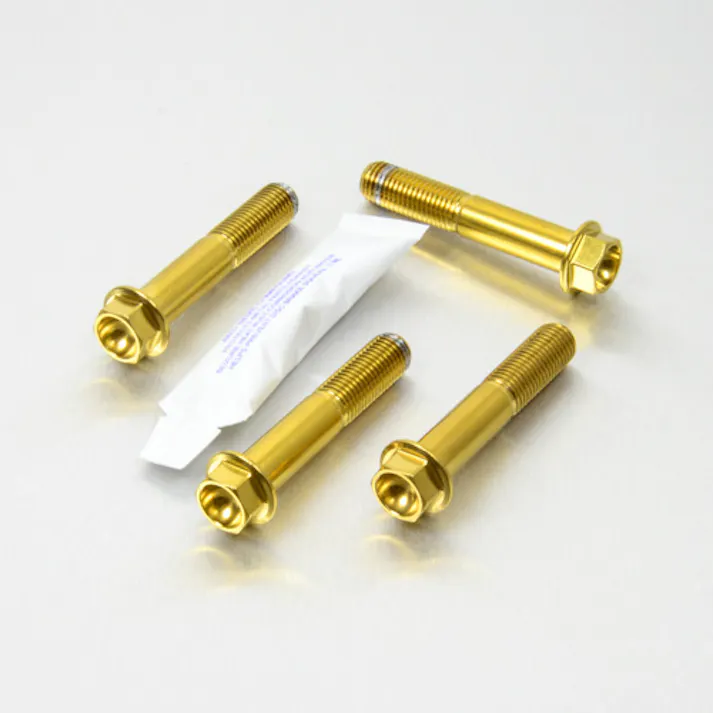 Pro-Bolt プロボルト Stainless Steel Front Brake Mounting Bolt Kit (SSFBMON140) SSFBMON140G (CDC)【ネット注文限定・別送品】