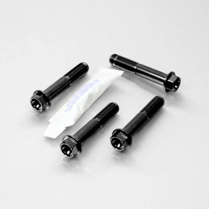Pro-Bolt プロボルト Stainless Steel Front Brake Mounting Bolt Kit (SSFBMON300) SSFBMON300BK (CDC)【ネット注文限定・別送品】