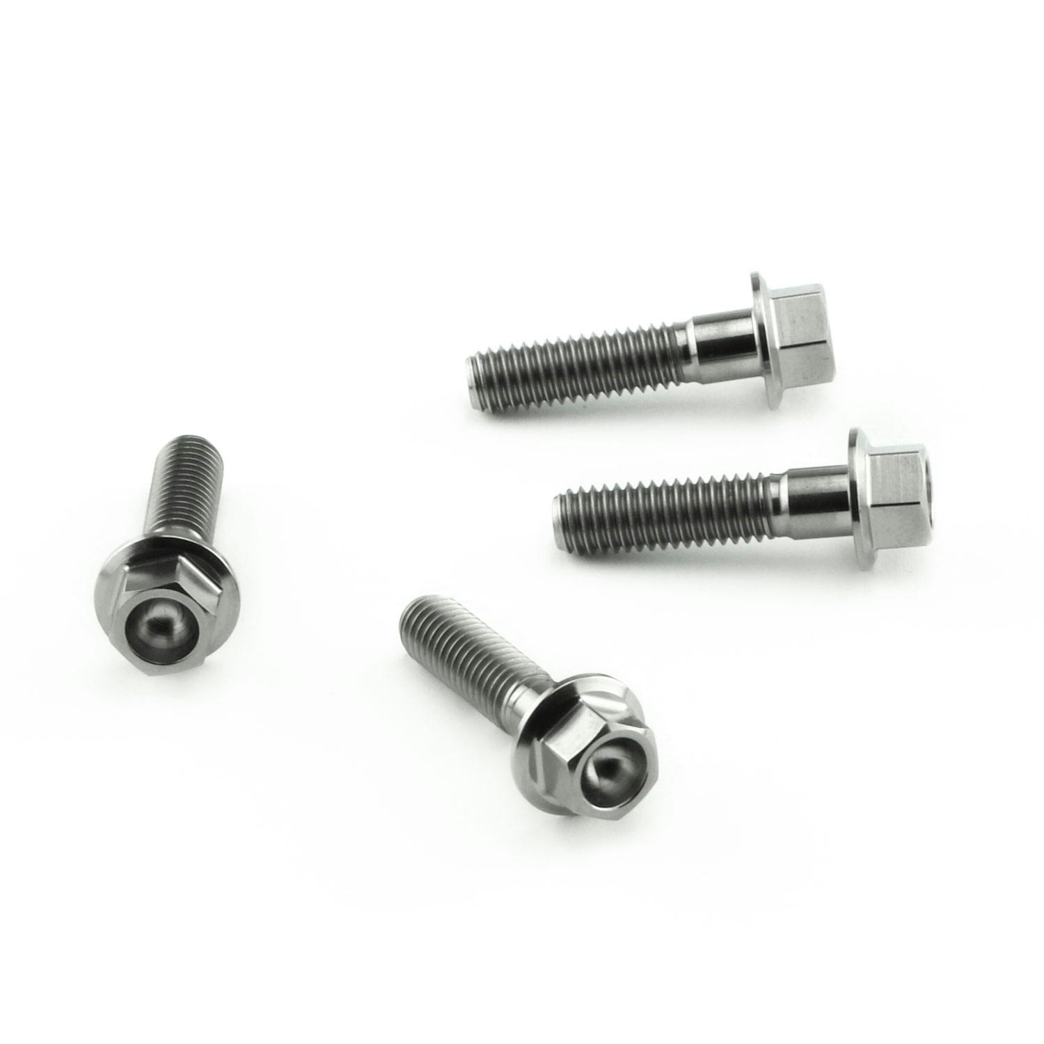 Pro-Bolt プロボルト Stainless Steel Heel Plate Bolt Kit (SSHPLATE300) (CDC) ステン(ボルト) Pro-Bolt プロボルト Stainless Steel Heel Plate Bolt Kit (SSHPLATE300) (CDC) ステン(ボルト)