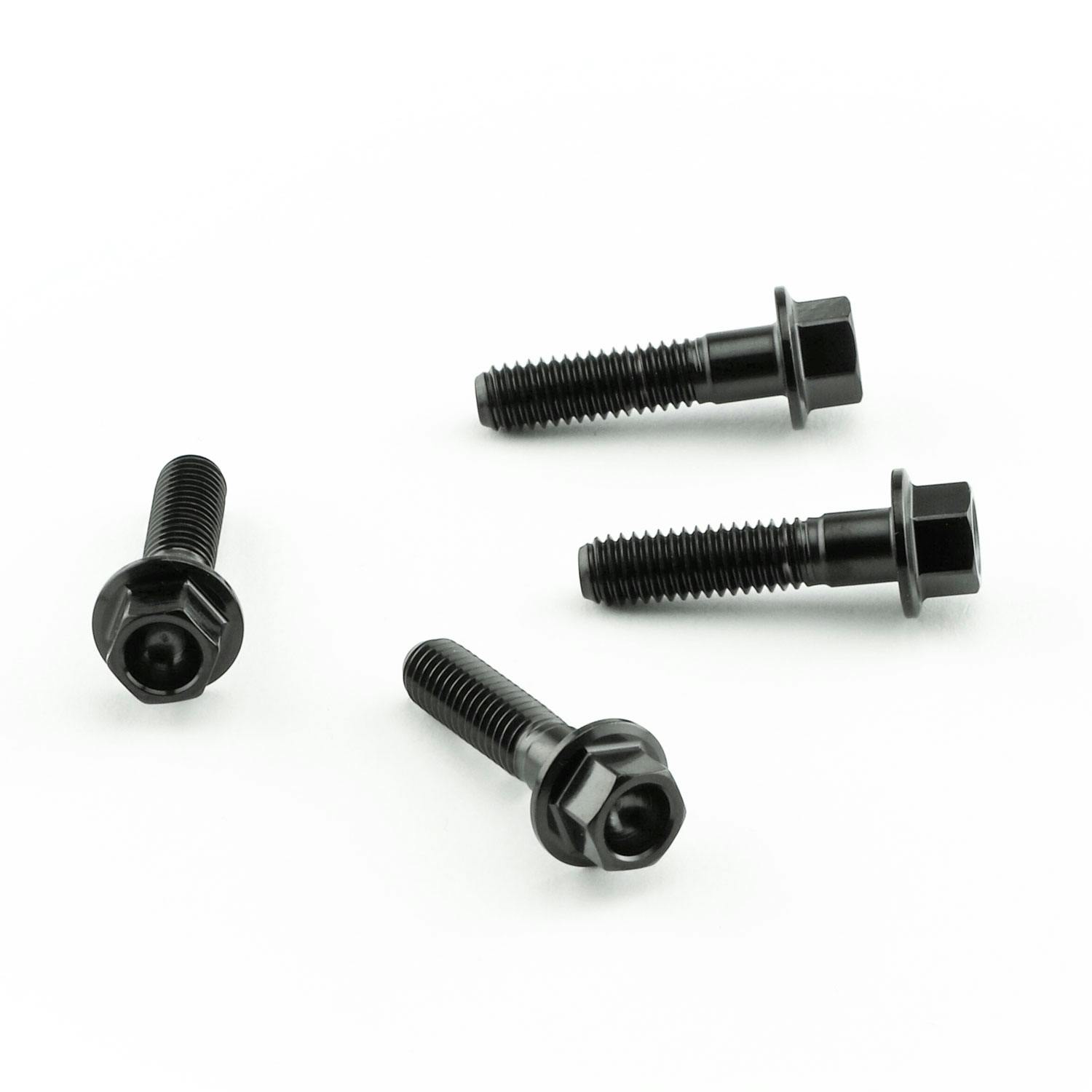 Pro-Bolt プロボルト Stainless Steel Heel Plate Bolt Kit (SSHPLATE300) SSHPLATE300BK ( ステン(ボルト) Pro-Bolt プロボルト Stainless Steel Heel Plate Bolt Kit (SSHPLATE300) SSHPLATE300BK ( ステン(ボルト)