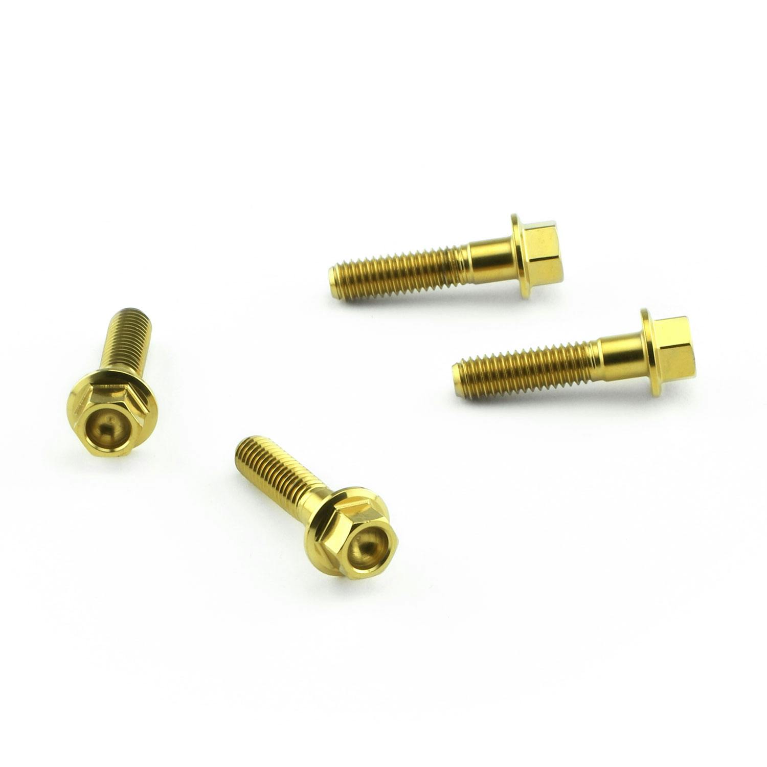 Pro-Bolt プロボルト Stainless Steel Heel Plate Bolt Kit (SSHPLATE300) SSHPLATE300G (C ステン(ボルト) Pro-Bolt プロボルト Stainless Steel Heel Plate Bolt Kit (SSHPLATE300) SSHPLATE300G (C ステン(ボルト)