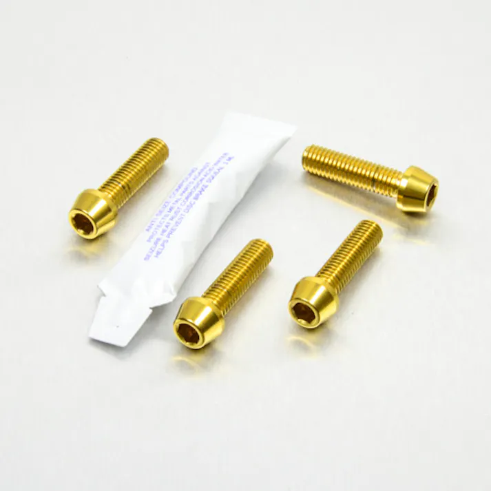 Pro-Bolt プロボルト Stainless Steel Pillion Footrest Hanger Bolt Kit (SSPREST50) SSPREST50G (CDC)【ネット注文限定・別送品】