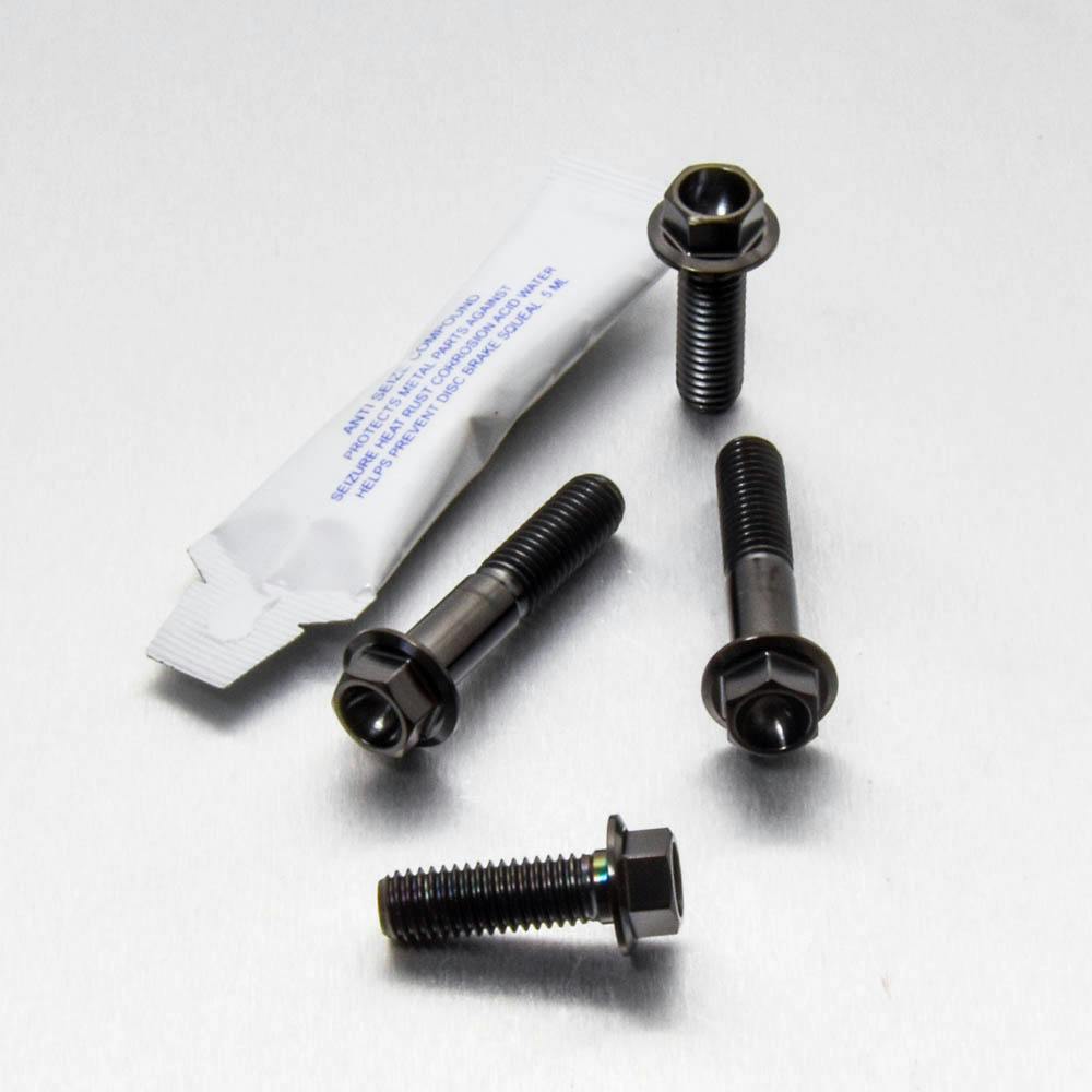 Pro-Bolt プロボルト Stainless Steel Rear Rack Mounting Bolts