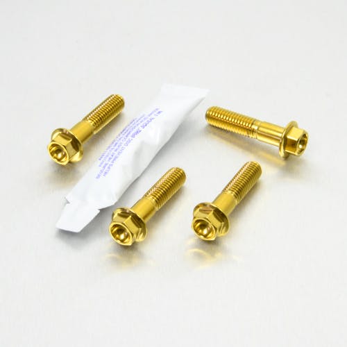 Pro-Bolt プロボルト Stainless Steel Rider Footrest Hanger Bolt Kit (SSRREST230) SSRREST230G (CDC)【ネット注文限定・別送品】