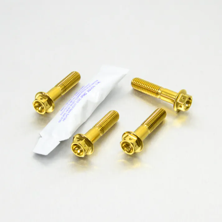 Pro-Bolt プロボルト Stainless Steel Rider Footrest Hanger Bolt Kit Race Spec (SSRREST230R) SSRREST230RG (CDC)【ネット注文限定・別送品】