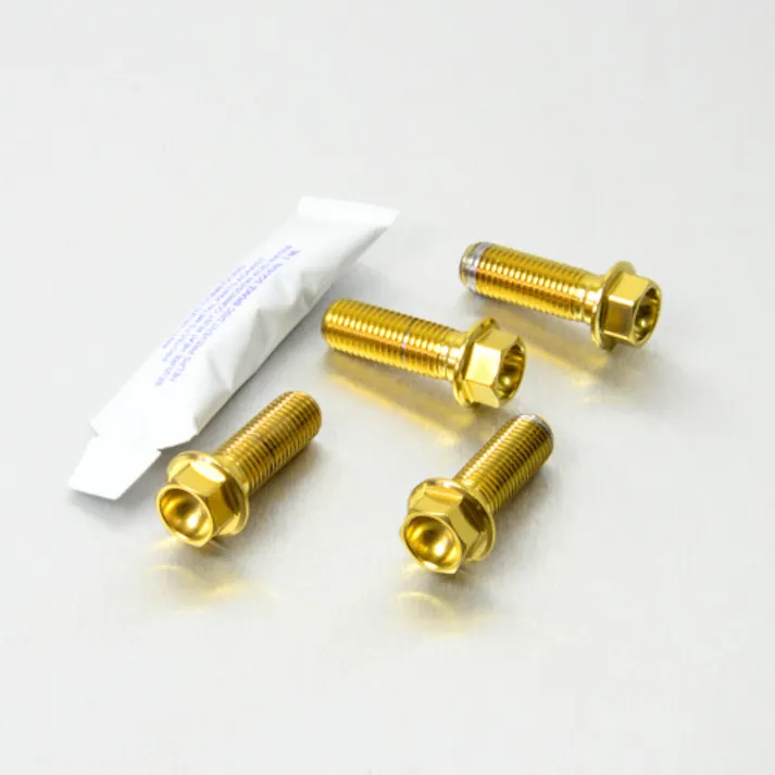 Pro-Bolt プロボルト Stainless Steel Rider Footrest Hanger Bolt Kit (SSRREST490) SSRREST490G (CDC)【ネット注文限定・別送品】