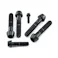Pro-Bolt プロボルト Titanium Subframe Bolt Kit Race Spec (TIBCPERCH530) TIBCPERCH530BK (CDC)【ネット注文限定・別送品】