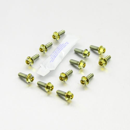 Pro-Bolt プロボルト Titanium Disc Bolts M6x16mm Flanged Hex