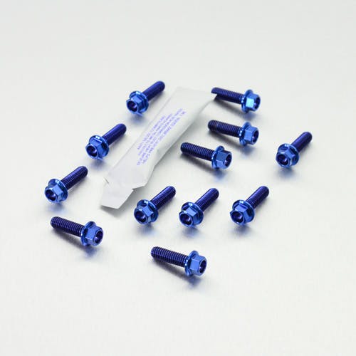 ボルビック様 Pro-Bolt プロボルト Titanium Disc Bolts Front M6x20mm Flanged Hex