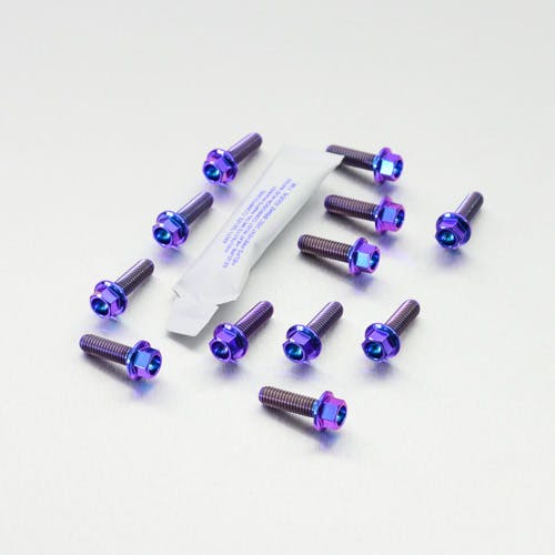 Pro-Bolt �v���{���g Titanium Disc Bolts Front M6x20mm Flanged Hex Pack x12 (TIDISCKIT ���̑��i�{���g�j