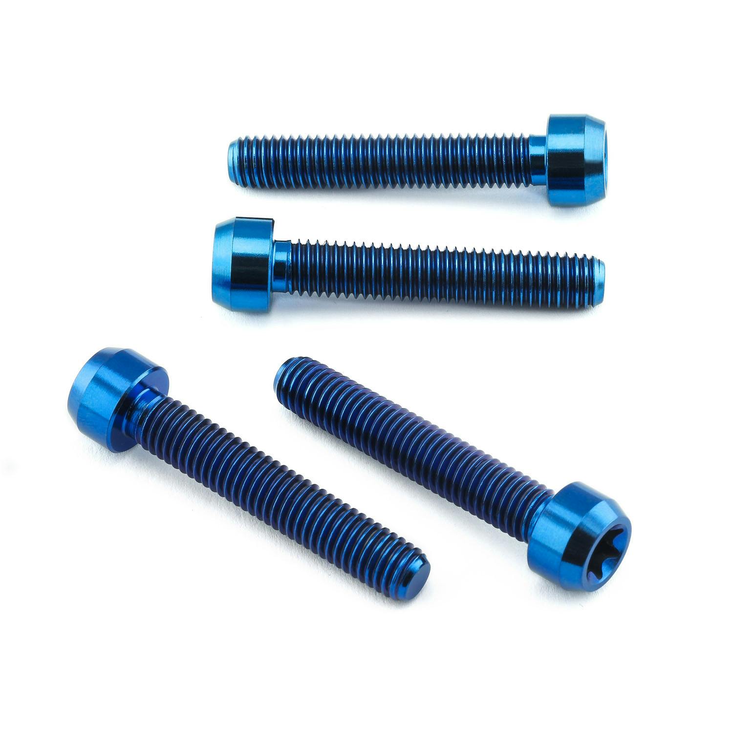 Pro-Bolt プロボルト Titanium Front Axle Pinch Bolt Kit Torx Drive (TIFAPINCH700) TIFA その他(ボルト) Pro-Bolt プロボルト Titanium Front Axle Pinch Bolt Kit Torx Drive (TIFAPINCH700) TIFA その他(ボルト)
