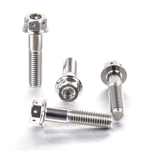 Pro-Bolt プロボルト Titanium Front Brake Caliper Mount Bolt Kit DualDrive (TIFBMON130 その他(ボルト) Pro-Bolt プロボルト Titanium Front Brake Caliper Mount Bolt Kit DualDrive (TIFBMON130 その他(ボルト)