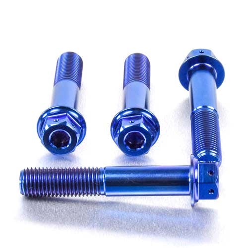 Pro-Bolt プロボルト Titanium Front Brake Caliper Mount Bolt Kit DualDrive (TIFBMON140 その他(ボルト) Pro-Bolt プロボルト Titanium Front Brake Caliper Mount Bolt Kit DualDrive (TIFBMON140 その他(ボルト)