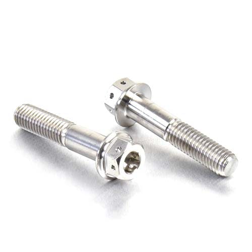 Pro-Bolt プロボルト Titanium Front Brake Caliper Mount Bolt Kit DualDrive (TIFBMON210 その他(ボルト) Pro-Bolt プロボルト Titanium Front Brake Caliper Mount Bolt Kit DualDrive (TIFBMON210 その他(ボルト)