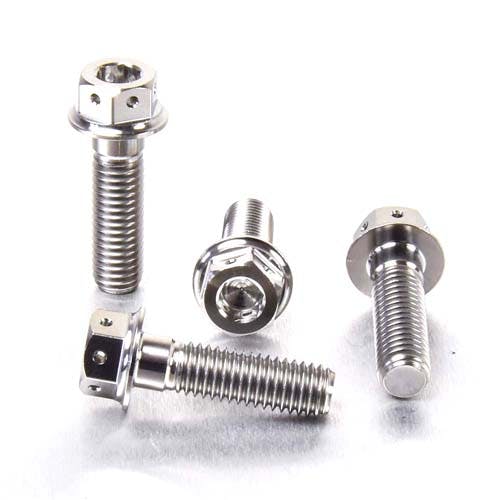 Pro-Bolt プロボルト Titanium Front Brake Caliper Mount Bolt Kit DualDrive (TIFBMON280 その他(ボルト) Pro-Bolt プロボルト Titanium Front Brake Caliper Mount Bolt Kit DualDrive (TIFBMON280 その他(ボルト)