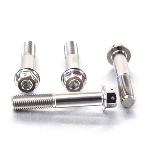 Pro-Bolt プロボルト Titanium Front Brake Caliper Mount Bolt Kit DualDrive (TIFBMON300 その他(ボルト) Pro-Bolt プロボルト Titanium Front Brake Caliper Mount Bolt Kit DualDrive (TIFBMON300 その他(ボルト)