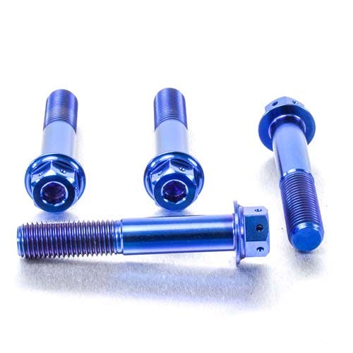 Pro-Bolt プロボルト Titanium Front Brake Caliper Mount Bolt Kit DualDrive (TIFBMON300 その他(ボルト) Pro-Bolt プロボルト Titanium Front Brake Caliper Mount Bolt Kit DualDrive (TIFBMON300 その他(ボルト)