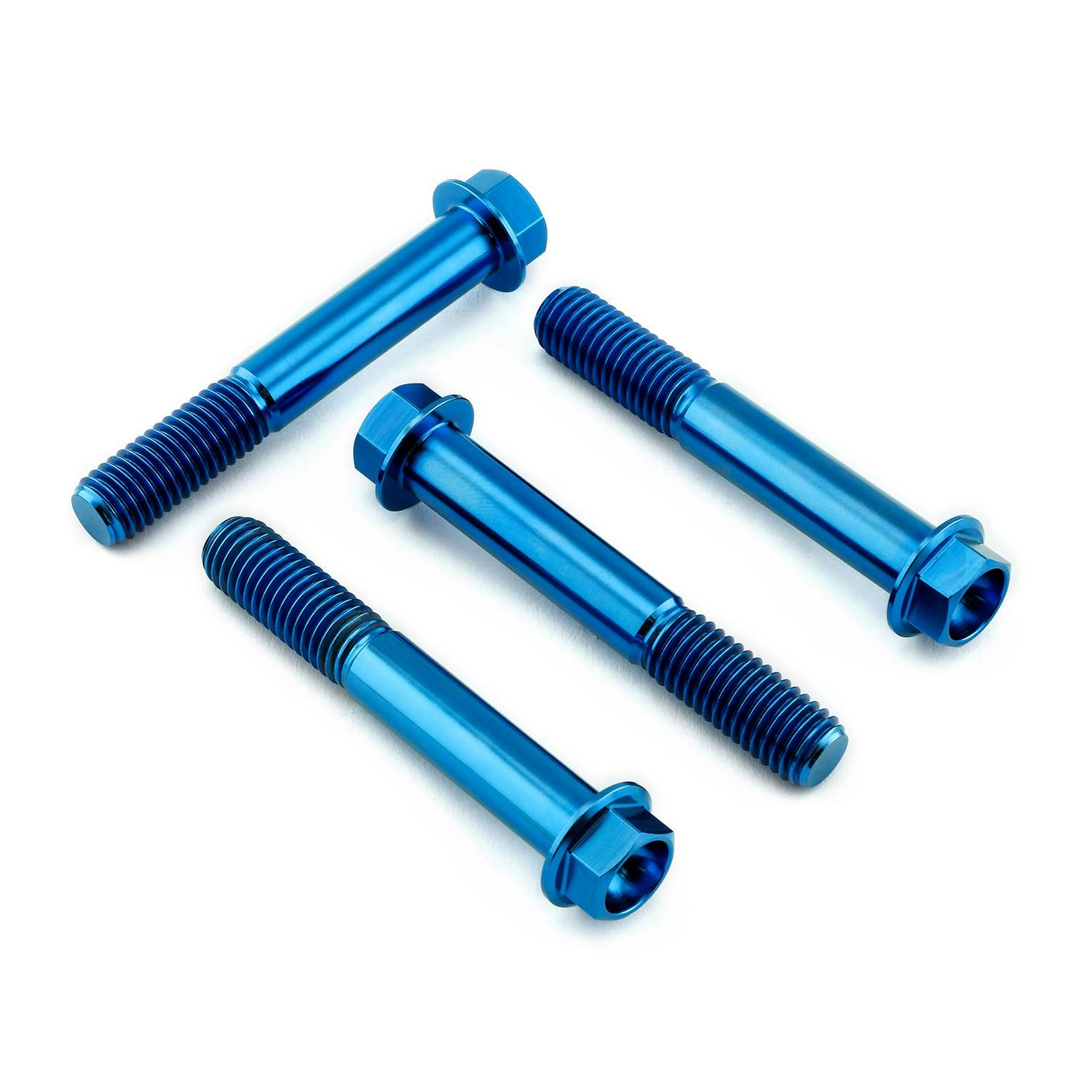 Pro-Bolt プロボルト Titanium Front Brake Caliper Mount Bolt Kit (TIFBMON510) TIFBMON5 その他(ボルト) Pro-Bolt プロボルト Titanium Front Brake Caliper Mount Bolt Kit (TIFBMON510) TIFBMON5 その他(ボルト)