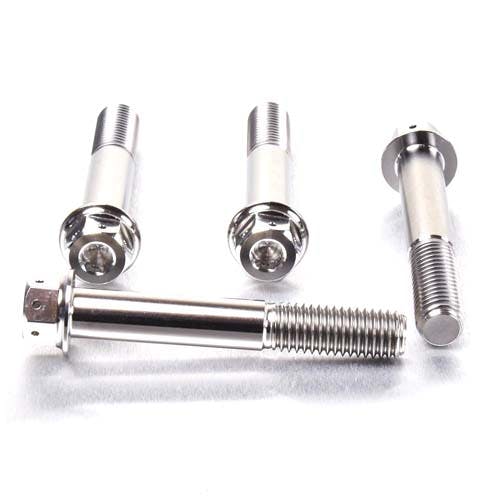 Pro-Bolt プロボルト Titanium Front Brake Caliper Mount Bolt Kit DualDrive (TIFBMON510 その他(ボルト) Pro-Bolt プロボルト Titanium Front Brake Caliper Mount Bolt Kit DualDrive (TIFBMON510 その他(ボルト)