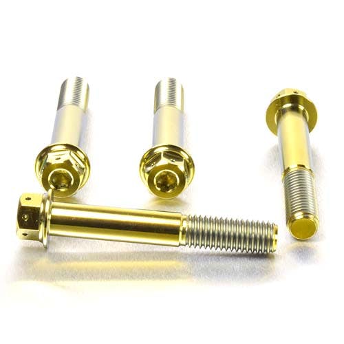 Pro-Bolt プロボルト Titanium Front Brake Caliper Mount Bolt Kit DualDrive (TIFBMON510 その他(ボルト) Pro-Bolt プロボルト Titanium Front Brake Caliper Mount Bolt Kit DualDrive (TIFBMON510 その他(ボルト)