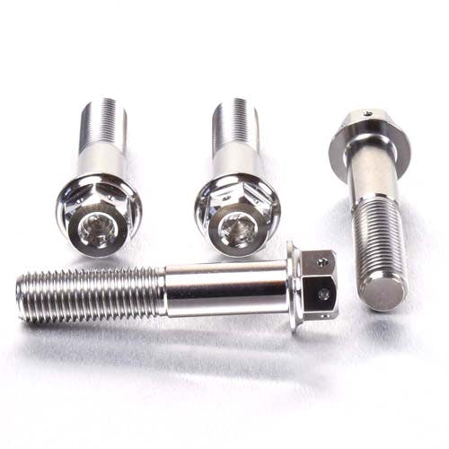 Pro-Bolt プロボルト Titanium Front Brake Caliper Mount Bolt Kit DualDrive (TIFBMON570 その他(ボルト) Pro-Bolt プロボルト Titanium Front Brake Caliper Mount Bolt Kit DualDrive (TIFBMON570 その他(ボルト)