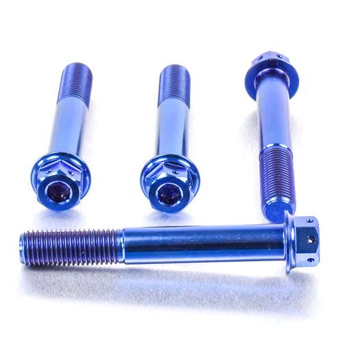 Pro-Bolt プロボルト Titanium Front Brake Radial Caliper Mount Bolt Kit M10x(1.25mm)x7 その他(ボルト) Pro-Bolt プロボルト Titanium Front Brake Radial Caliper Mount Bolt Kit M10x(1.25mm)x7 その他(ボルト)