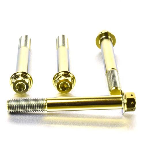 Pro-Bolt プロボルト Titanium Front Brake Radial Caliper Mount Bolt Kit M10x(1.25mm)x8 その他(ボルト) Pro-Bolt プロボルト Titanium Front Brake Radial Caliper Mount Bolt Kit M10x(1.25mm)x8 その他(ボルト)