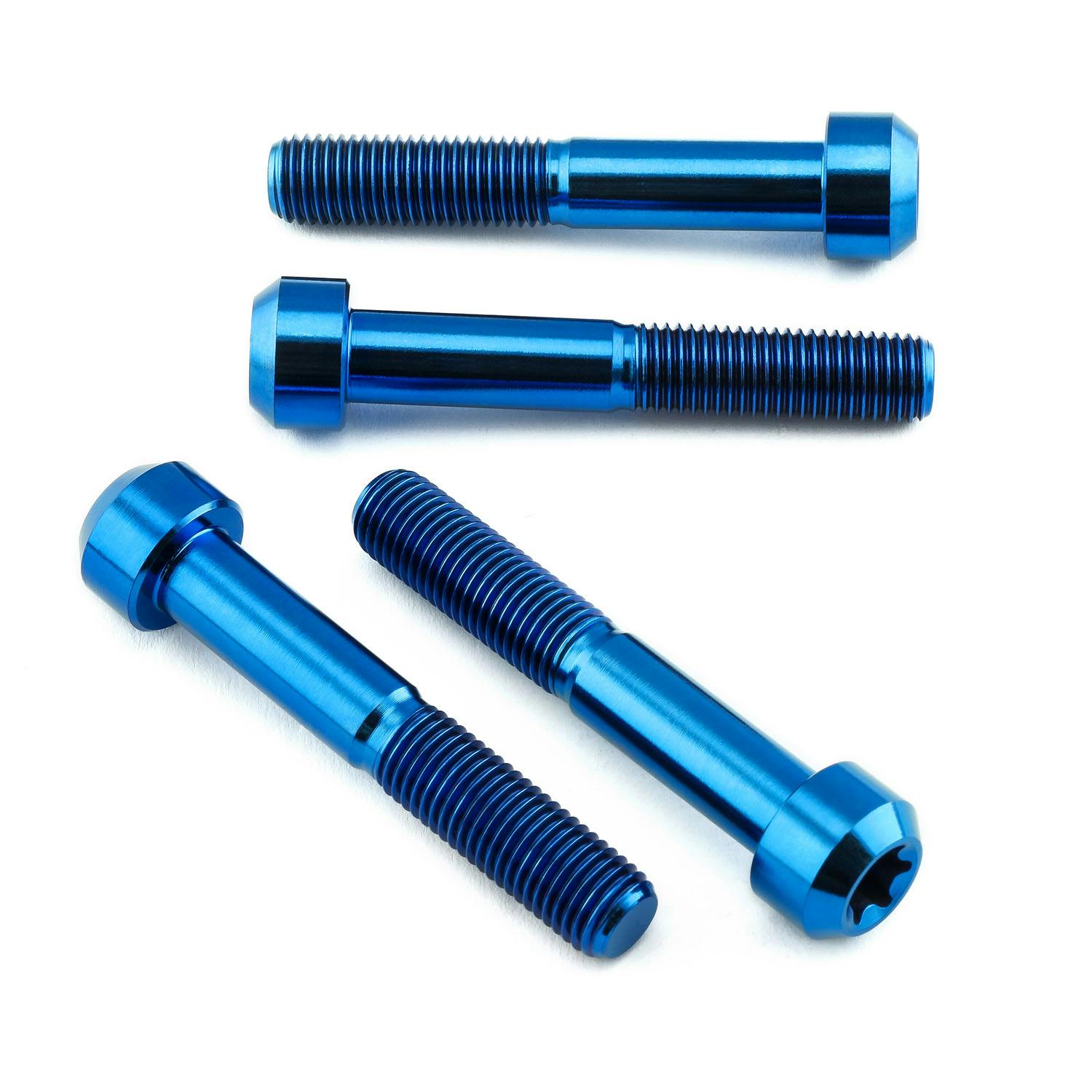 Pro-Bolt プロボルト Titanium Front Brake Radial Caliper Mount Bolt Kit M10x(1.25mm)x6 その他(ボルト) Pro-Bolt プロボルト Titanium Front Brake Radial Caliper Mount Bolt Kit M10x(1.25mm)x6 その他(ボルト)