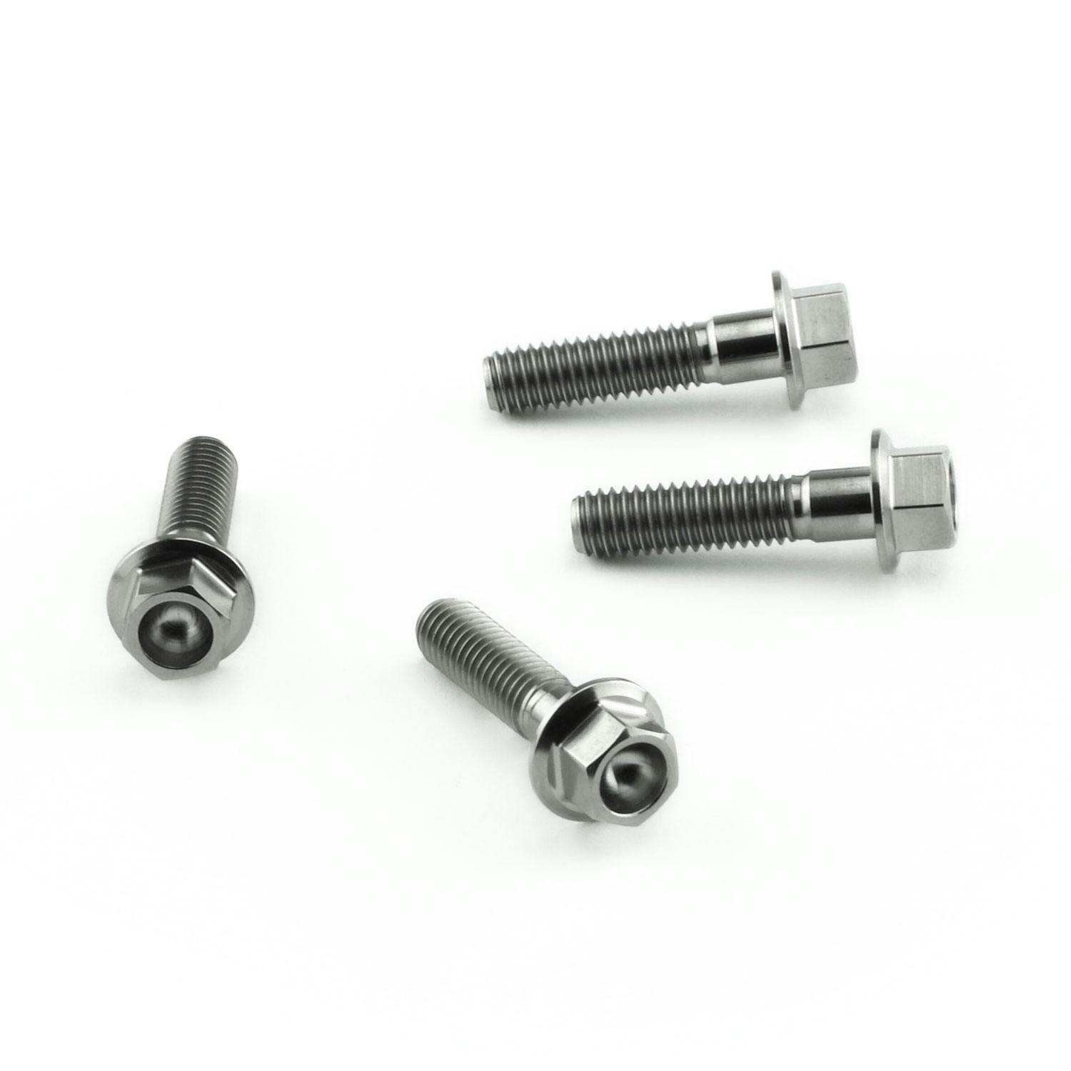 Pro-Bolt プロボルト Titanium Heel Plate Bolt Kit (TIHPLATE300) (CDC) その他(ボルト) Pro-Bolt プロボルト Titanium Heel Plate Bolt Kit (TIHPLATE300) (CDC) その他(ボルト)
