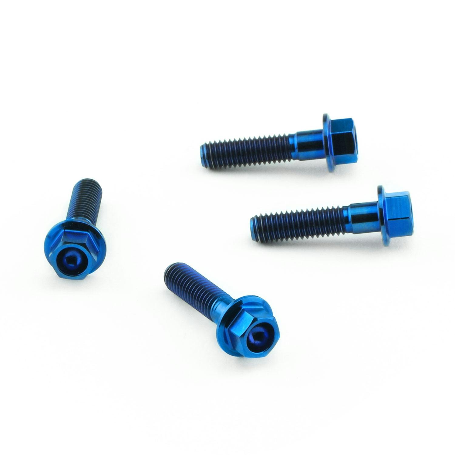 Pro-Bolt プロボルト Titanium Heel Plate Bolt Kit (TIHPLATE300) TIHPLATE300B (CDC) その他(ボルト) Pro-Bolt プロボルト Titanium Heel Plate Bolt Kit (TIHPLATE300) TIHPLATE300B (CDC) その他(ボルト)