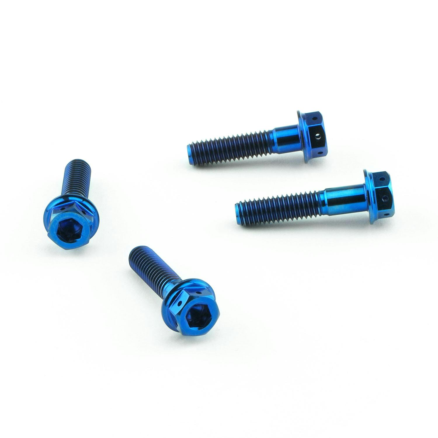 Pro-Bolt プロボルト Titanium Heel Plate Bolt Kit DualDrive (TIHPLATE300DD) TIHPLATE30 その他(ボルト) Pro-Bolt プロボルト Titanium Heel Plate Bolt Kit DualDrive (TIHPLATE300DD) TIHPLATE30 その他(ボルト)