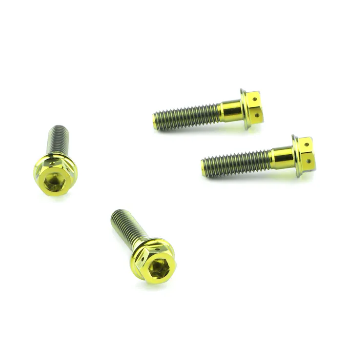 Pro-Bolt プロボルト Titanium Heel Plate Bolt Kit DualDrive (TIHPLATE300DD) TIHPLATE300DDG (CDC)【ネット注文限定・別送品】