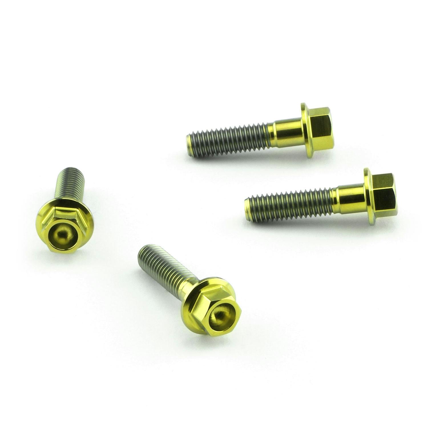 Pro-Bolt プロボルト Titanium Heel Plate Bolt Kit (TIHPLATE300) TIHPLATE300G (CDC) その他(ボルト) Pro-Bolt プロボルト Titanium Heel Plate Bolt Kit (TIHPLATE300) TIHPLATE300G (CDC) その他(ボルト)
