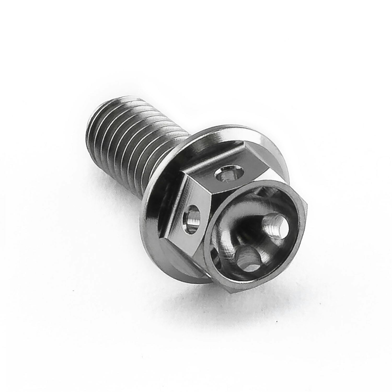Pro-Bolt プロボルト チタン ヘックスヘッド M5x(0.80mm)x12mm レース