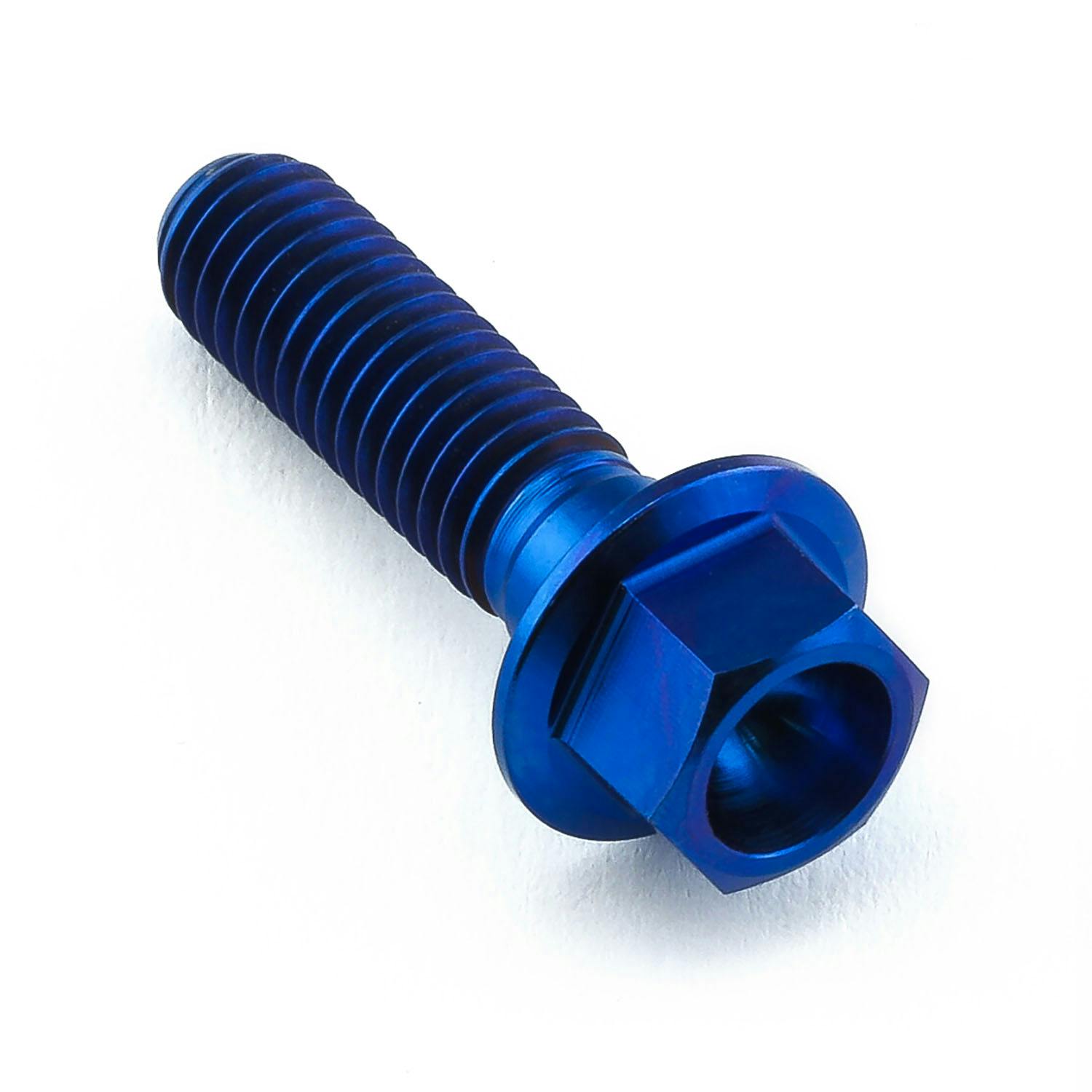 チタン150 Pro-Bolt プロボルト チタン ヘックスヘッド M6x(1.00mm)x22mm