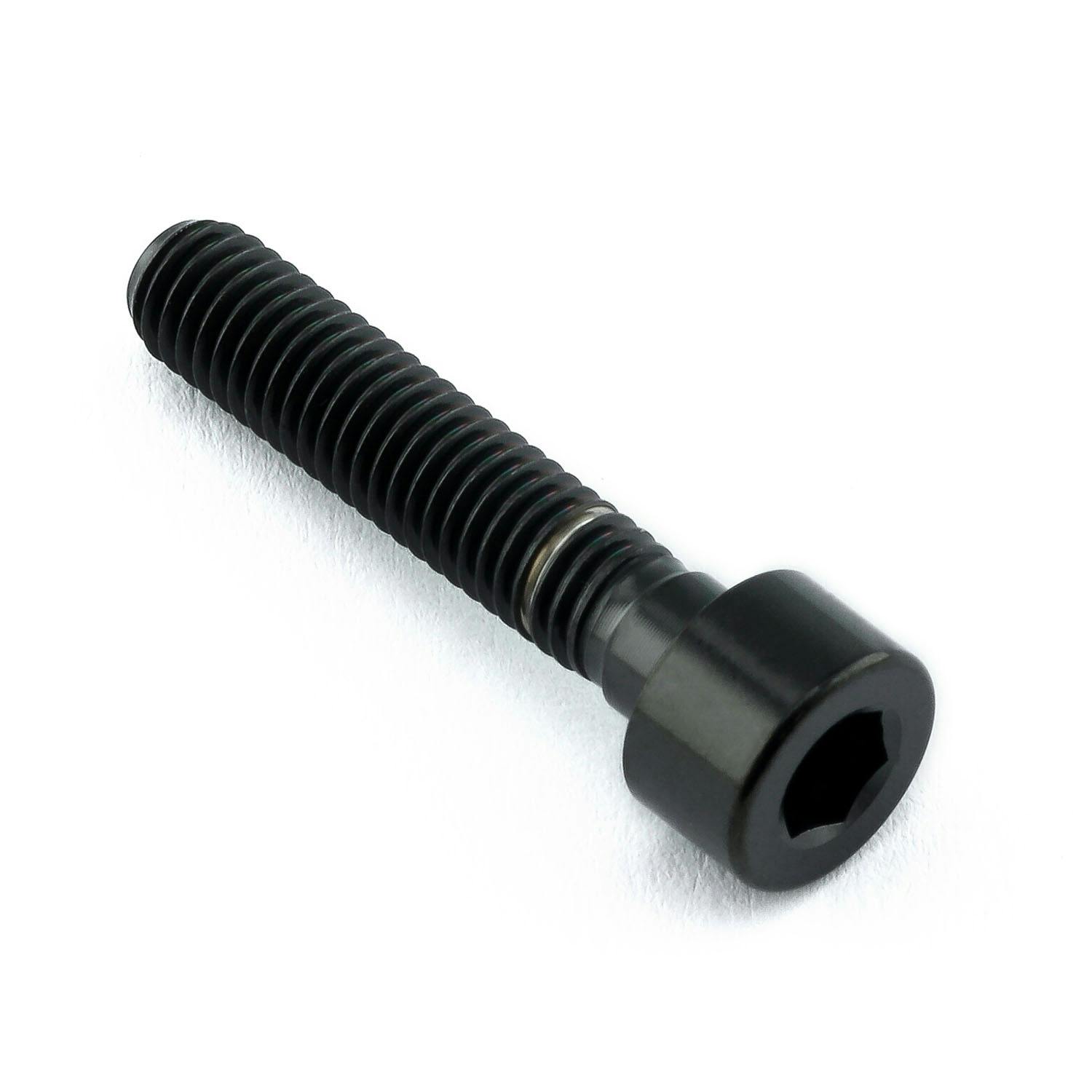 Pro-Bolt プロボルト Titanium Parallel Socket Cap M5x(0.80mm)x25mm DIN 912 (TIPB525) T ボルトキャップ Pro-Bolt プロボルト Titanium Parallel Socket Cap M5x(0.80mm)x25mm DIN 912 (TIPB525) T ボルトキャップ