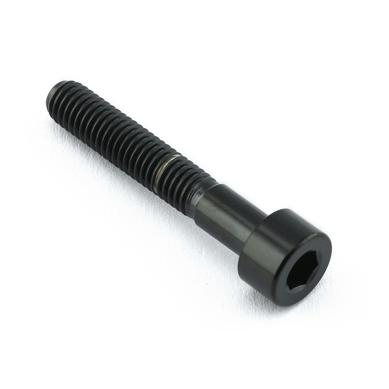 Pro-Bolt プロボルト Titanium Parallel Socket Cap M5x(0.80mm)x30mm DIN 912 (TIPB530) T ボルトキャップ Pro-Bolt プロボルト Titanium Parallel Socket Cap M5x(0.80mm)x30mm DIN 912 (TIPB530) T ボルトキャップ