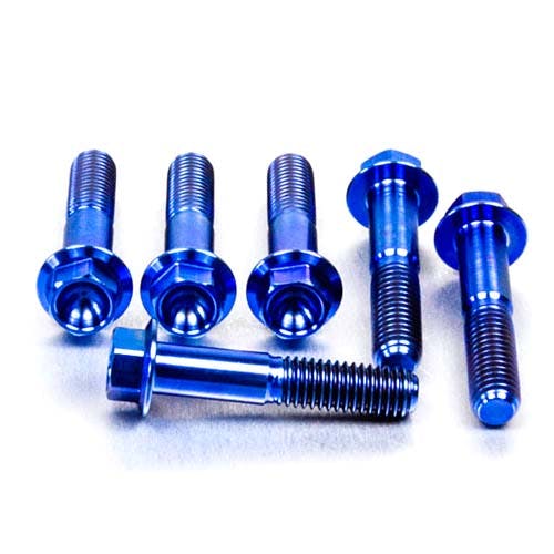 Pro-Bolt プロボルト Titanium Top & Bottom Clamp Yoke Pinch Kit (TITRIPCL20) TITRIPCL2 その他(ボルト) Pro-Bolt プロボルト Titanium Top & Bottom Clamp Yoke Pinch Kit (TITRIPCL20) TITRIPCL2 その他(ボルト)