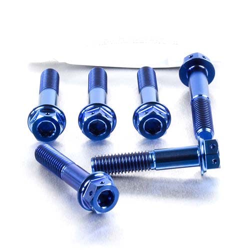 Pro-Bolt プロボルト Titanium Top & Bottom Clamp Yoke Pinch Kit DualDrive (TITRIPCL60D その他(ボルト) Pro-Bolt プロボルト Titanium Top & Bottom Clamp Yoke Pinch Kit DualDrive (TITRIPCL60D その他(ボルト)