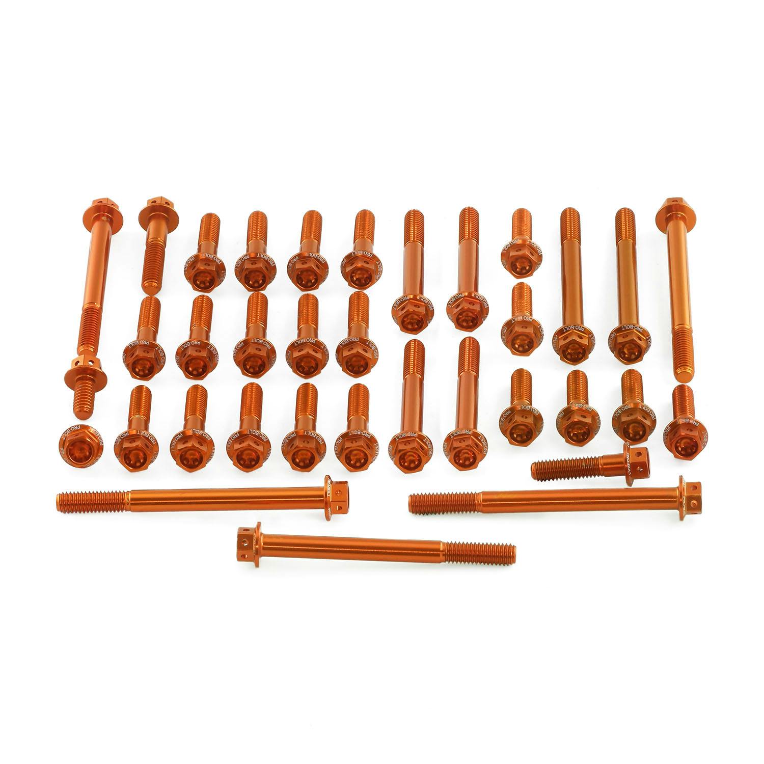 アルミニウム エンジンボルトキット ヤマハ YZ250 レーススペック EOYA180HXROE (CDC) その他(ボルト) アルミニウム エンジンボルトキット ヤマハ YZ250 レーススペック EOYA180HXROE (CDC) その他(ボルト)