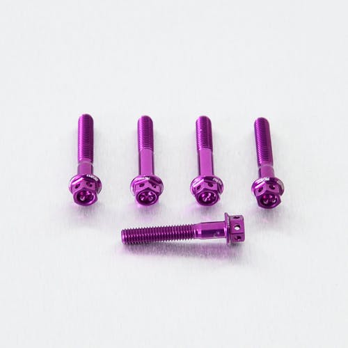 アルミニウム レーススペック M5 x (0.8mm) x 30mm 5個 エッチング加工