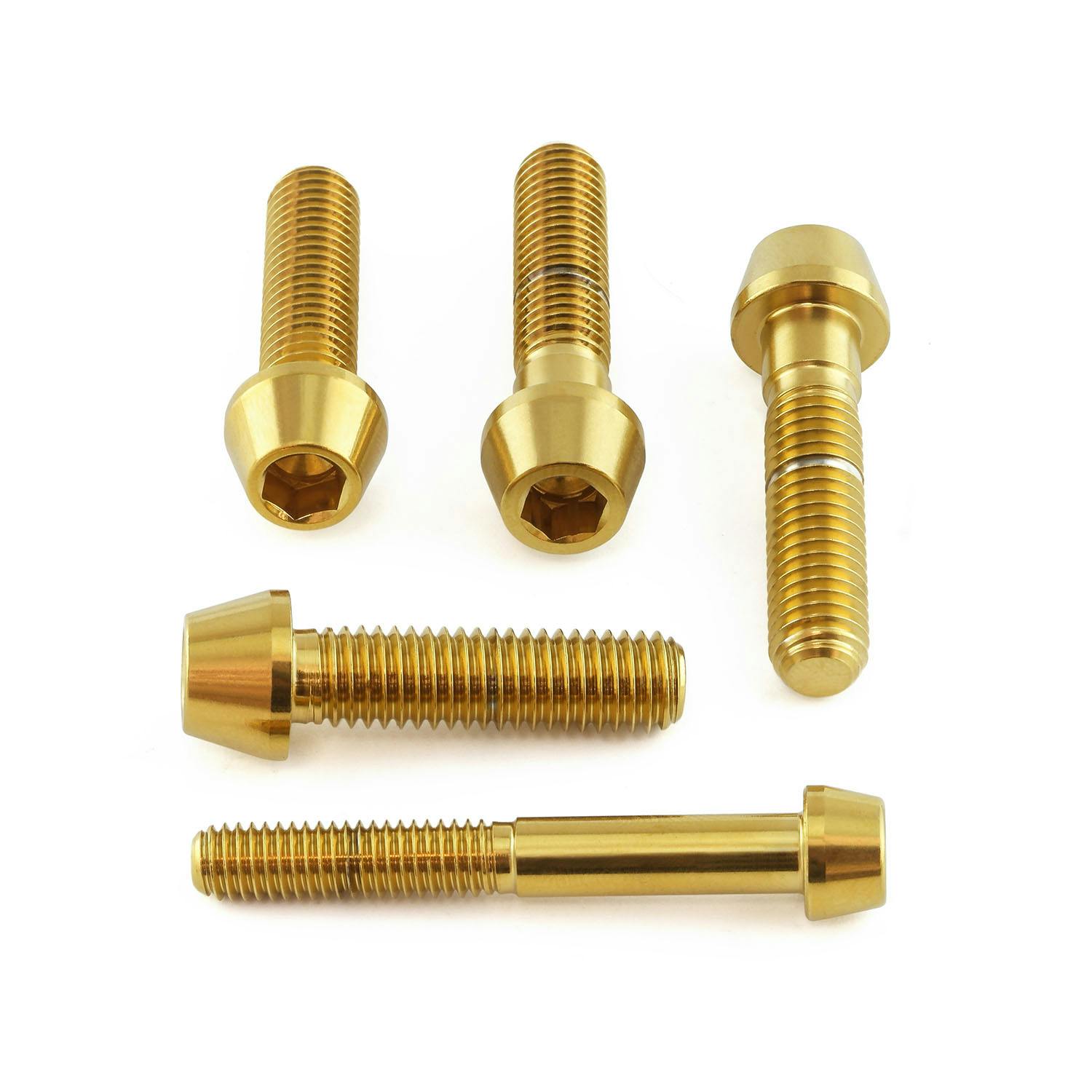 ステンレス ナンバープレートホルダーマウンティング キット NPLATEHOLDER20SSSCG (CDC)【別送品】