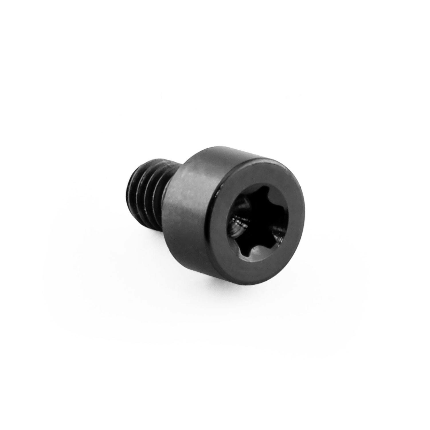 チタン トルクスヘッドボルト M4x(0.70mm)x6mm T20 PBCOM362BK (CDC)【別送品】