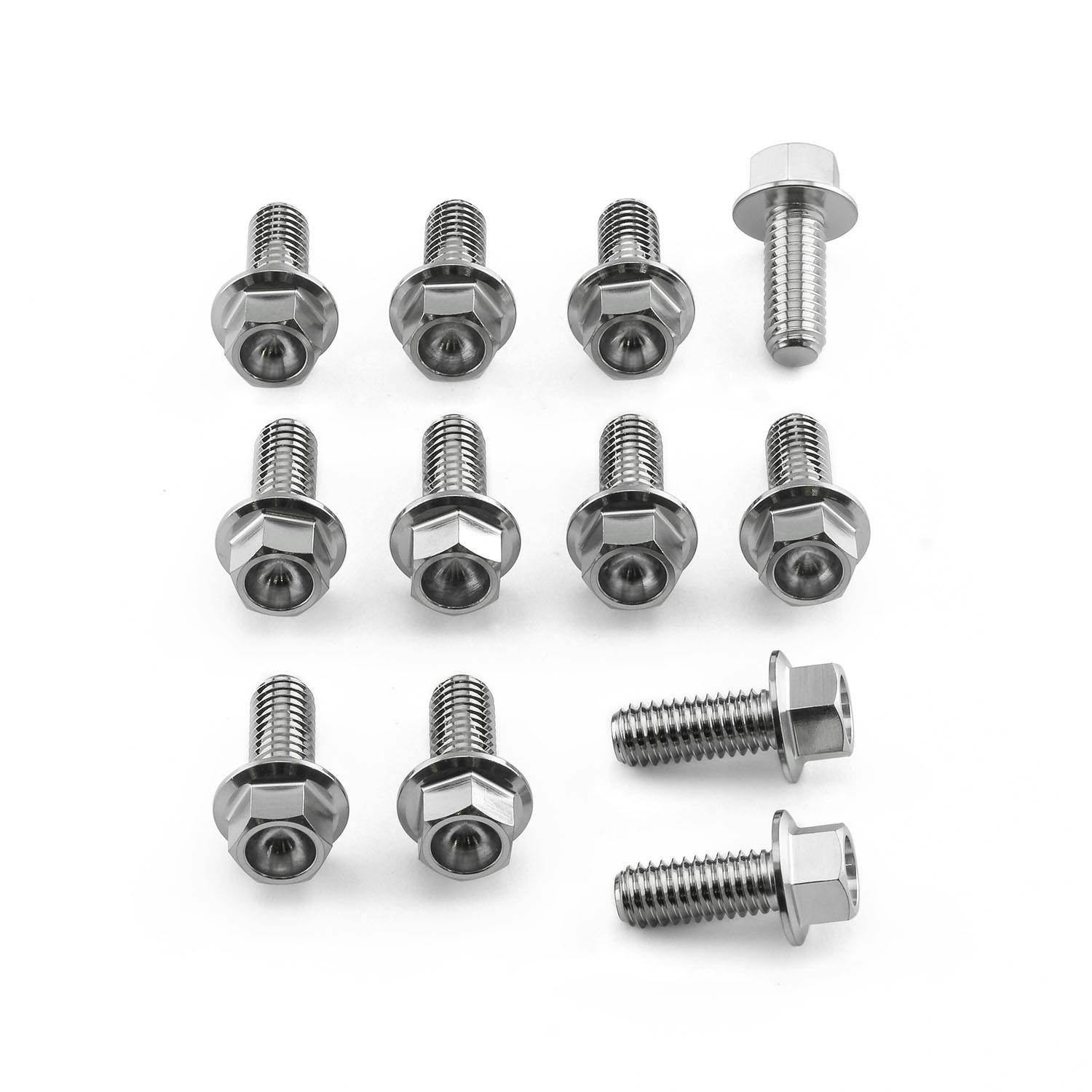 ステンレス ディスクボルト M6 x 15 フランジヘックス 12個パック