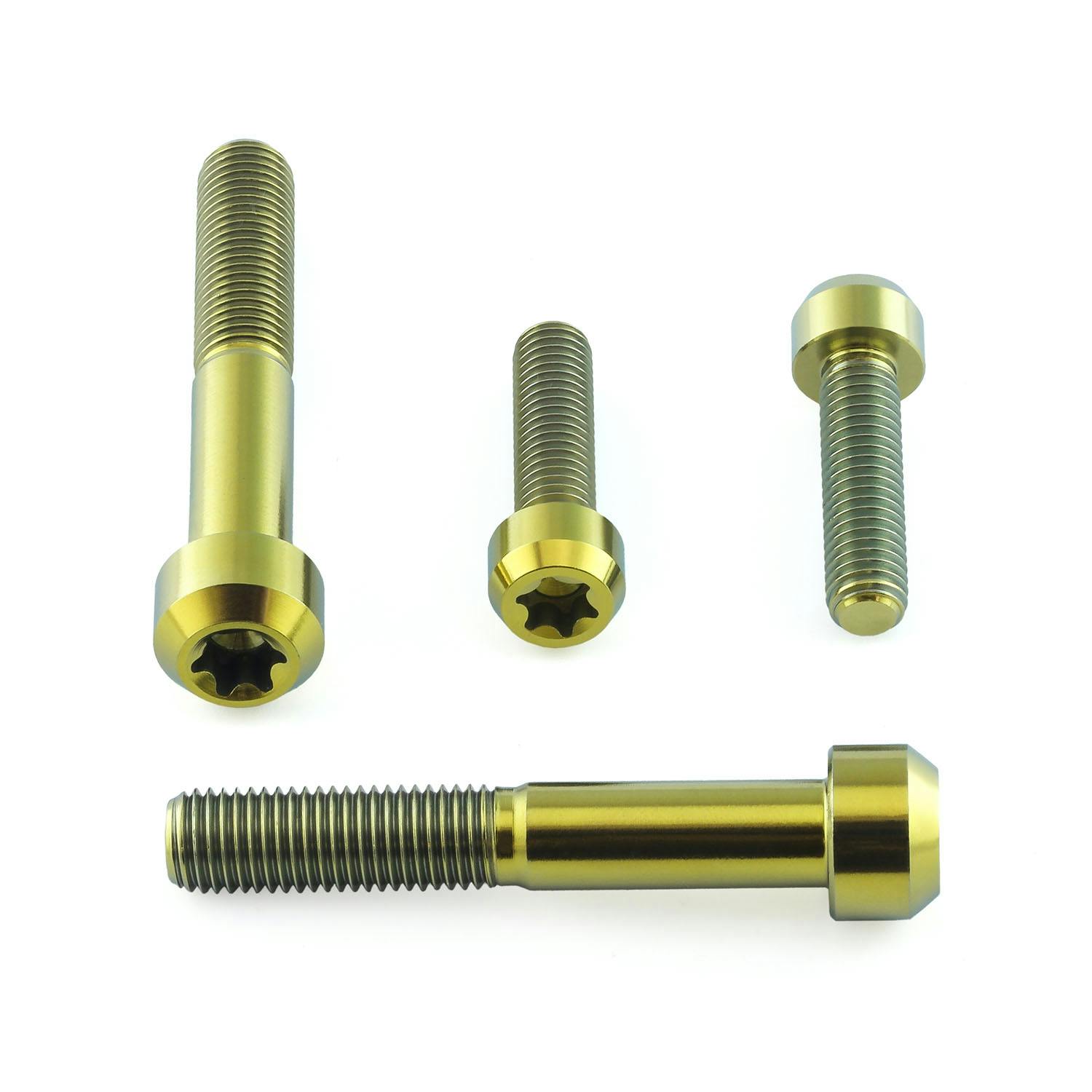 チタン クリップオン ハンドルバー ピンチボルト キット トルクス