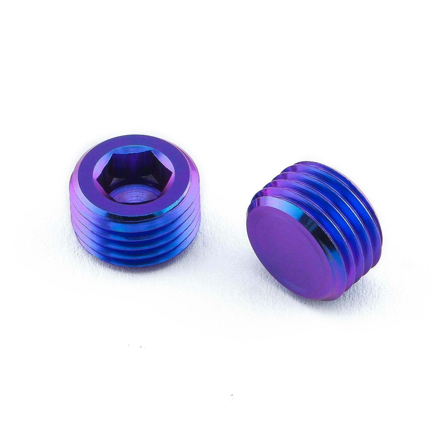 でぶっちょ チタン キャリパーピン ブランクプラグ M10 x (1.00mm) 六角レンチ