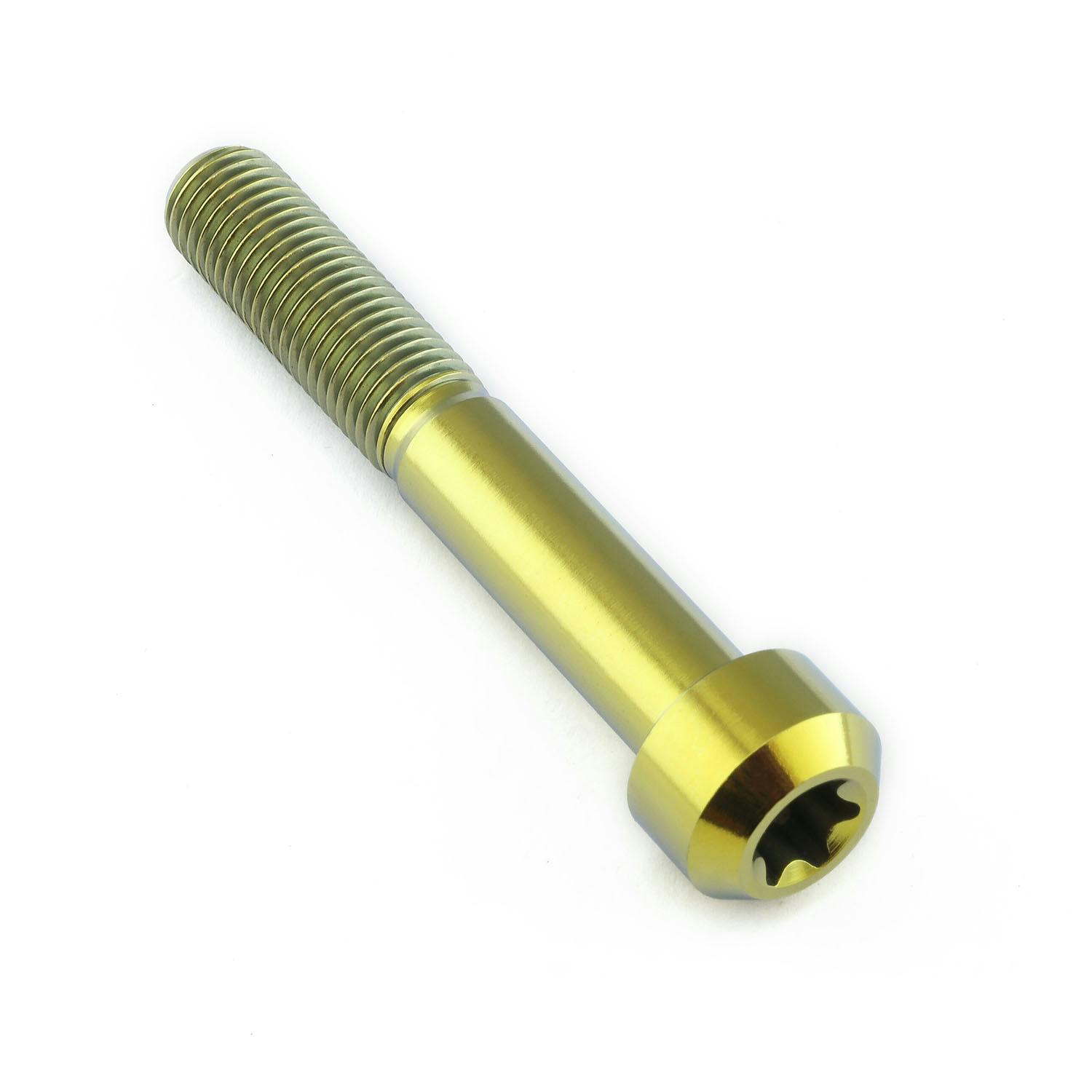 チタン トルクスヘッドボルト M10x(1.25mm)x65mm T50 TISCTX1065FG